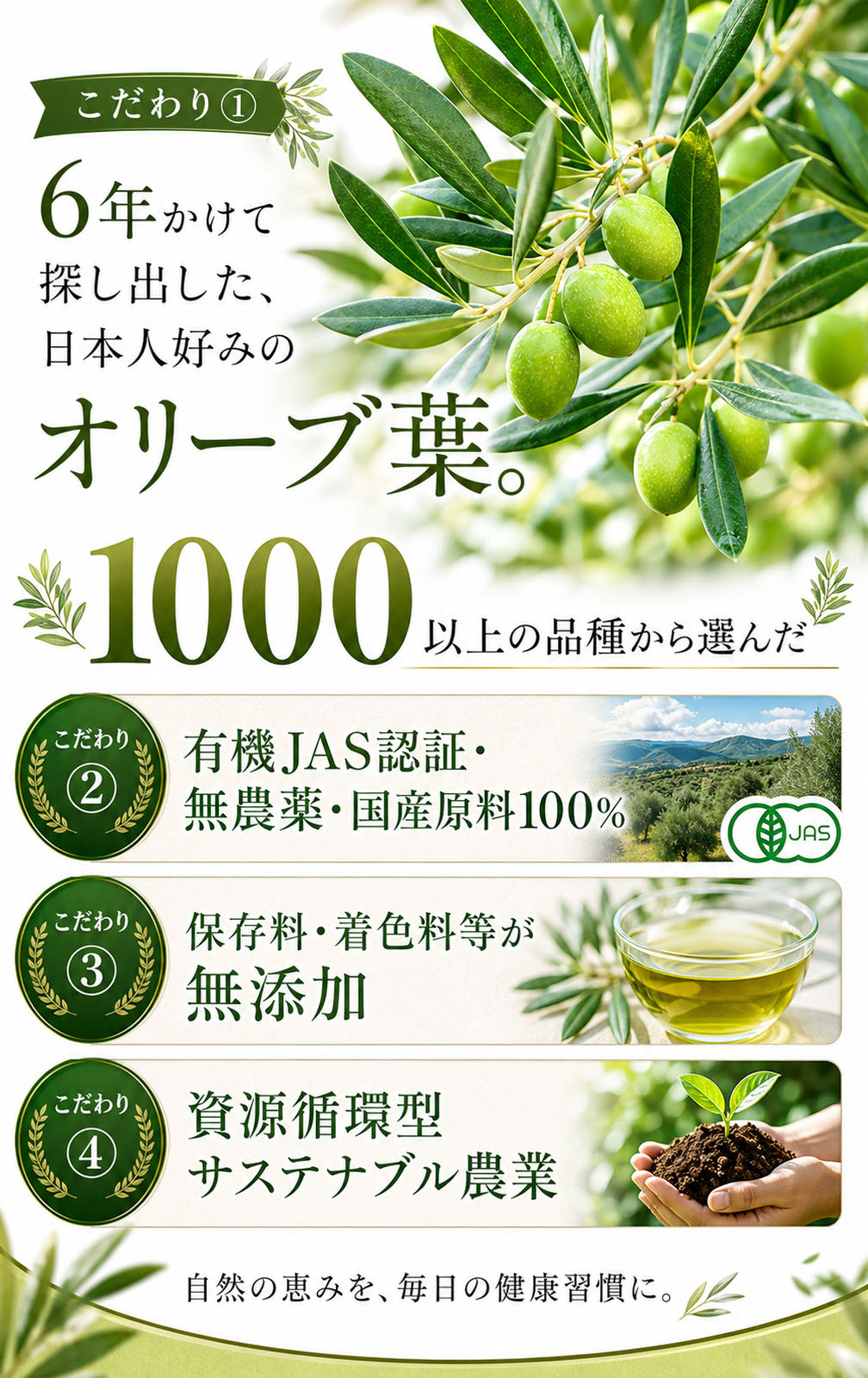 6年かけて探し出した日本人好みのオリーブ葉 有機JAS認証 無添加 資源循環型農業