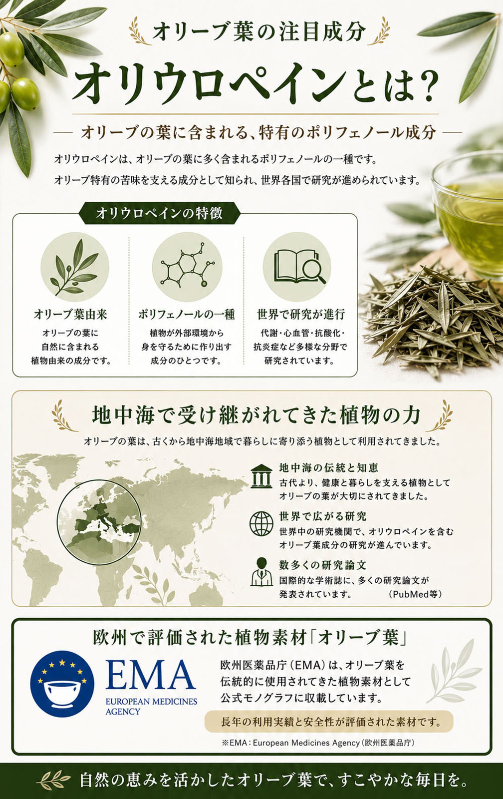 オリーブ葉の注目成分 オリウロペインとは？