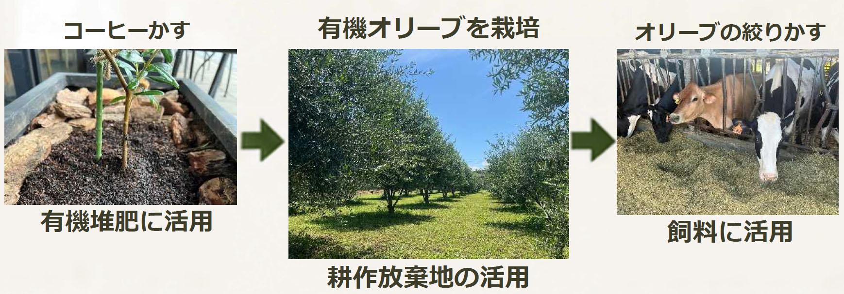 循環型農業の図解